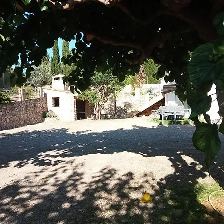 Las Palmeras Alberic Buitenkant foto