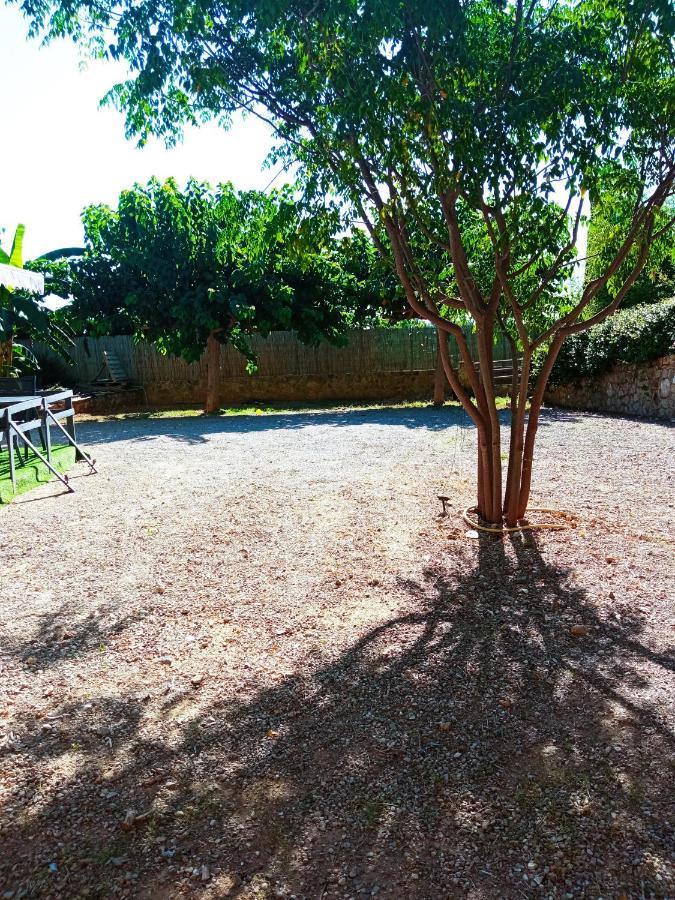 Apartment Palmeras Alberic